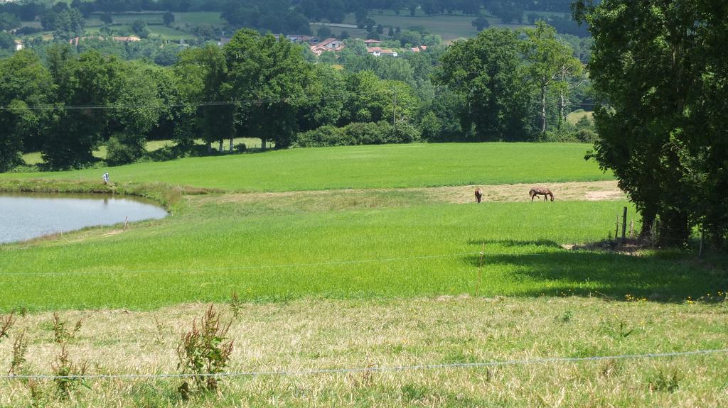 A L'Ombre Du Marronnier Gites La Peruse Esterno foto
